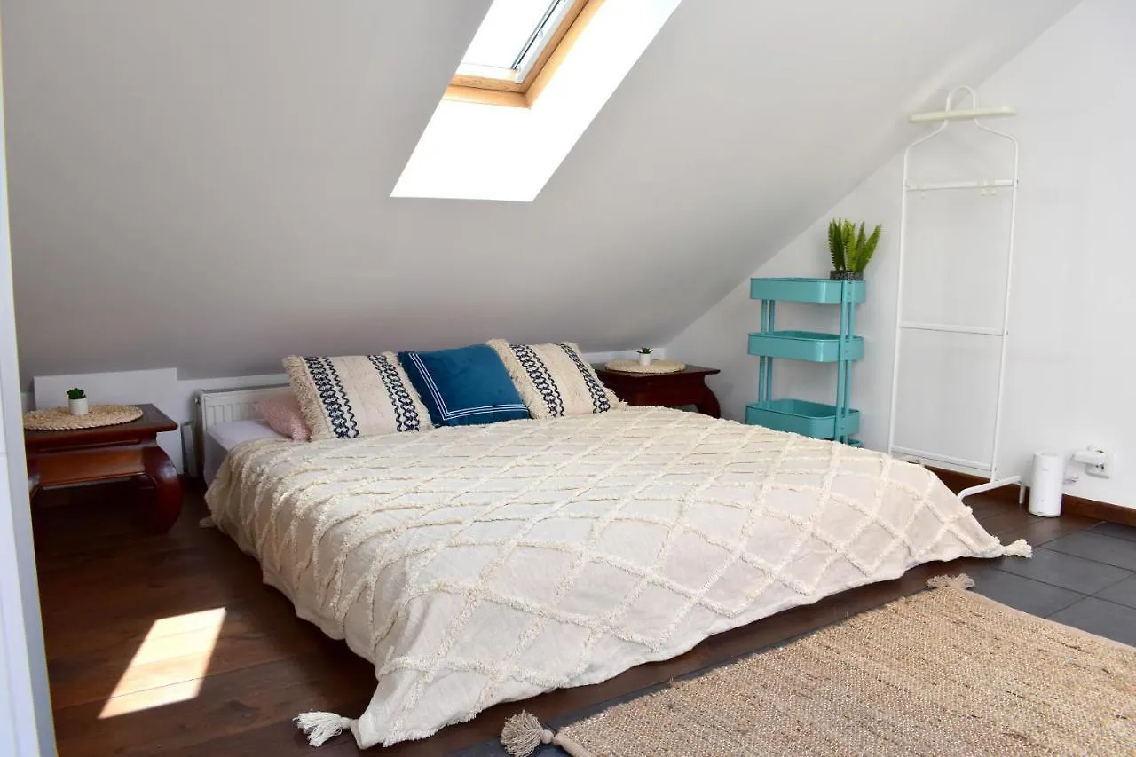 Lux Duplex Rooftop Loft With An Amazing Terrace & Home Cinema Praha Apartmán
