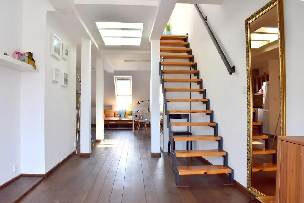 Lux Duplex Rooftop Loft With An Amazing Terrace & Home Cinema Praha 0*,